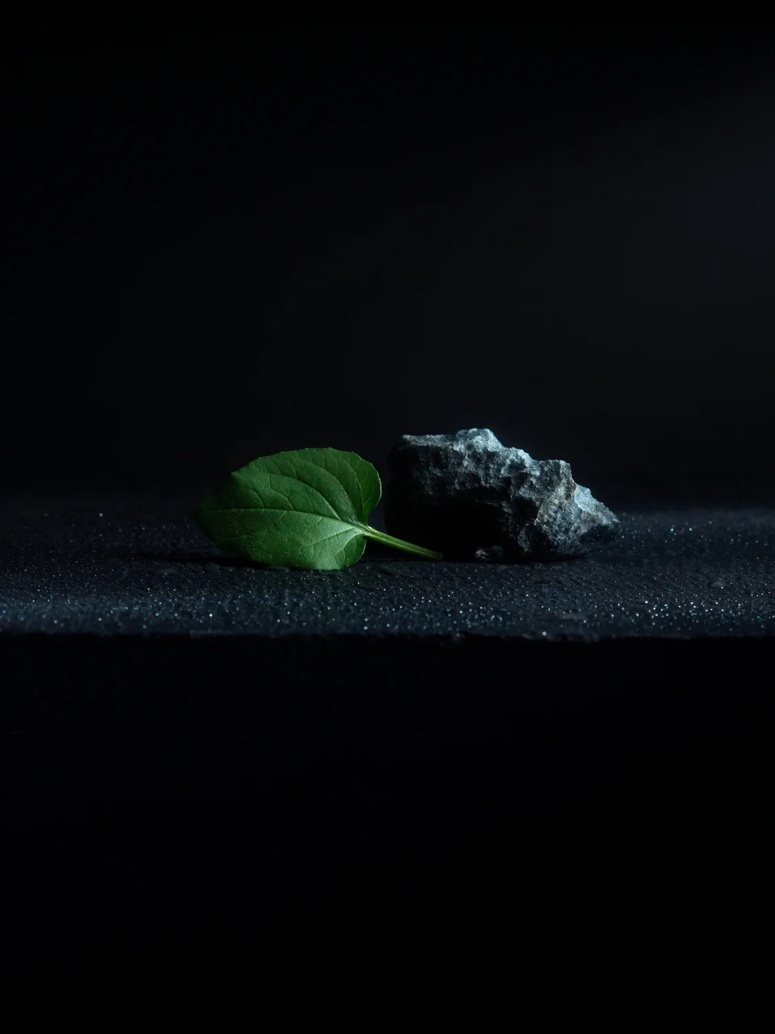 A Centella asiatica leaf and a raw mineral on wet black slate, lit from the side